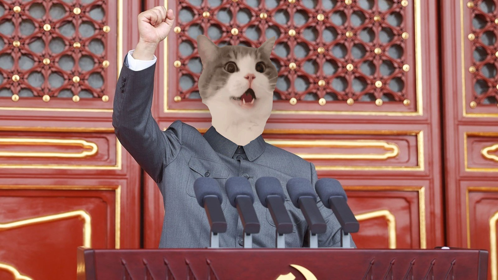 Cat Meme 2